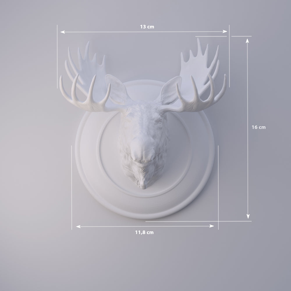 
                  
                    Älg
                  
                