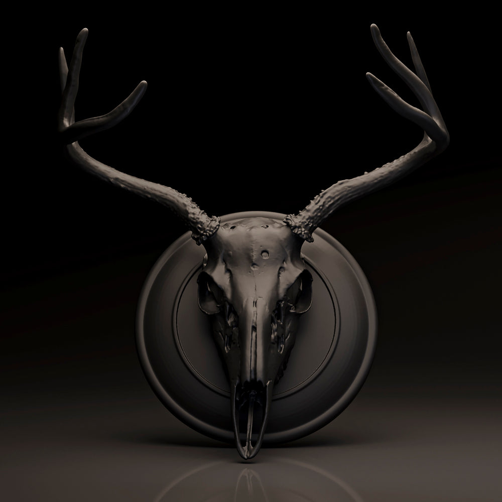 Deer Skull
