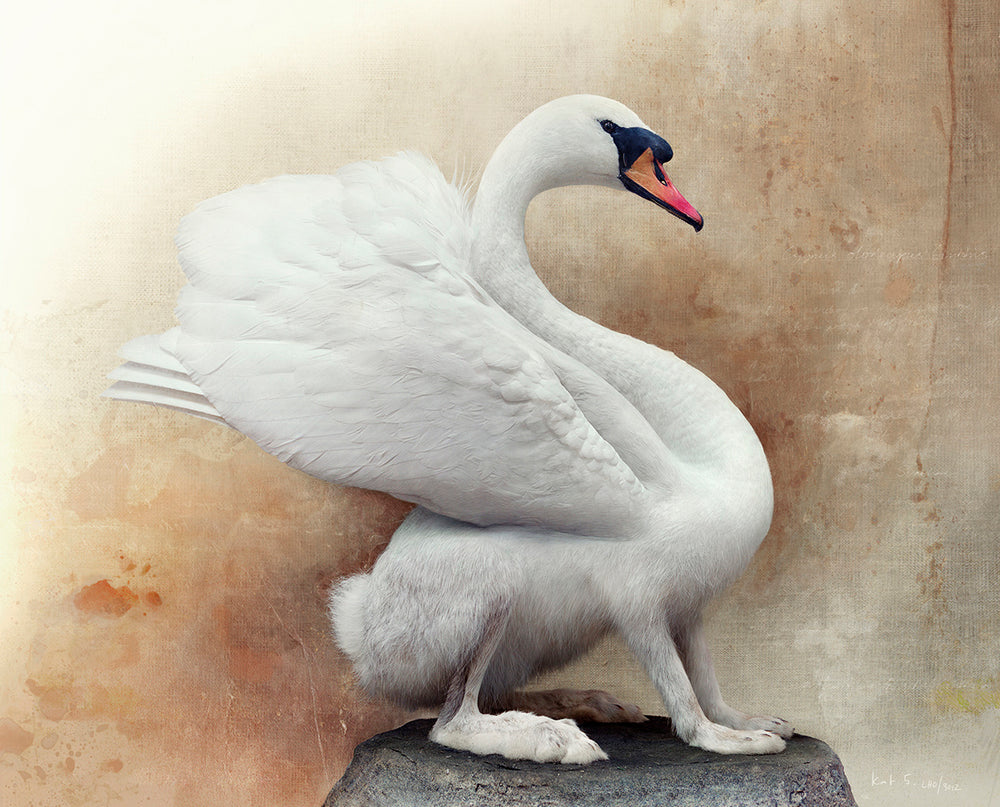 ellock